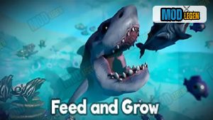 Feed and Grow: Fish 1