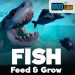 Feed And Grow Fish APK free download